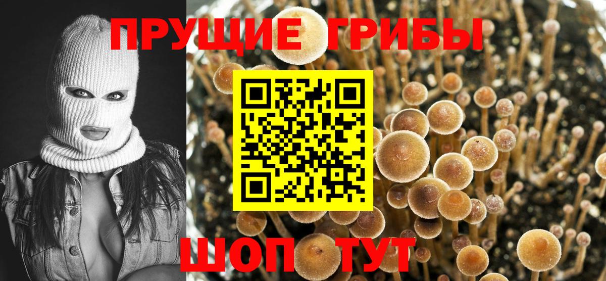 Галлюциногенные грибы Cubensis  Вход с VPN  Севастополь 